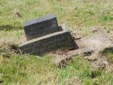 image of grave number 661266